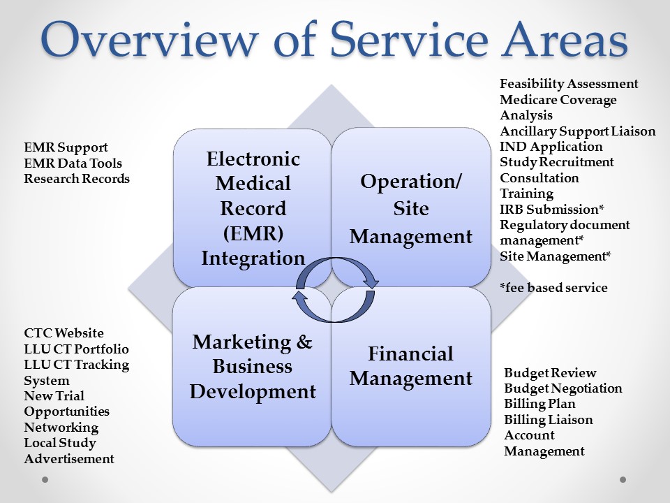 Overview chart of services areas